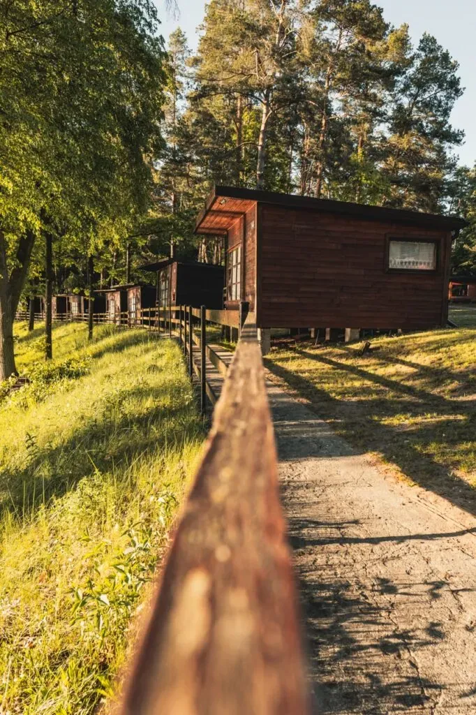 Domki ośrodka Klonownica wśród lasu