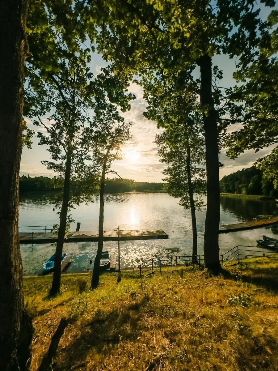 Jezioro widziane spośród drzew